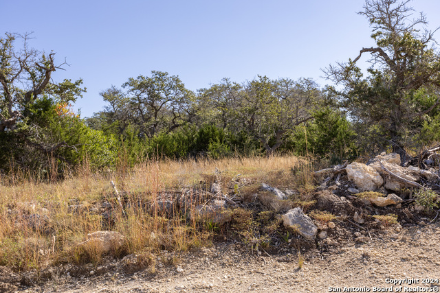 Image 9 of 14 For Block 1, Lot 15 Standing Tall