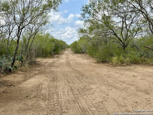 Details for 0000 Cr 421  , Christine, TX 78064