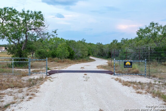 Listing photo id 16 for 000 County Road 376