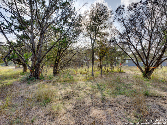 Image 7 of 10 For 10468 Rebecca Creek