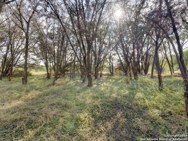 Image 9 of 10 For 10468 Rebecca Creek