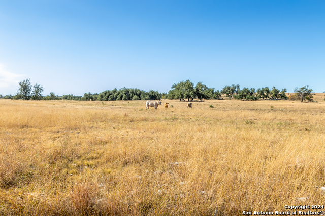 Image 38 of 38 For 315 Junker Hill Rd