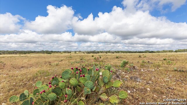 Details for Tract 10 Tbd S Ranch Road 783, Harper, TX 78631