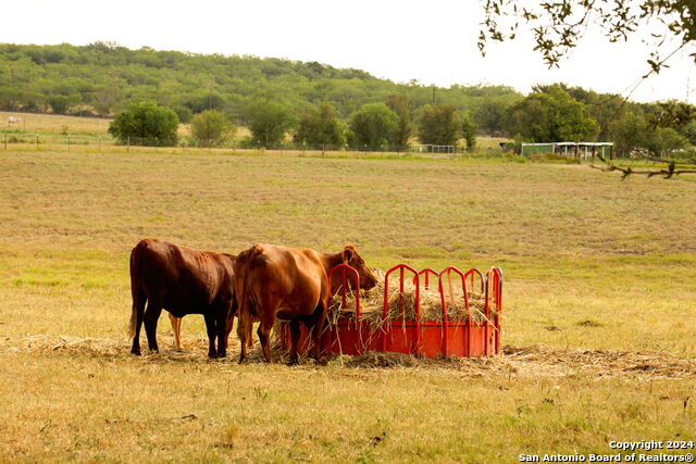 Image 50 of 59 For 735 Old Zorn Rd