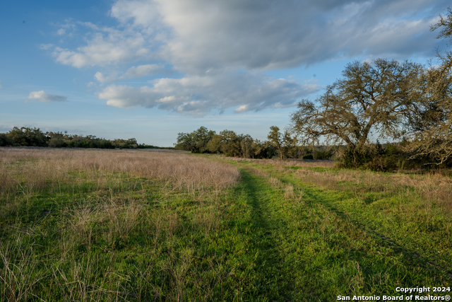 Listing photo id 8 for Tbd-100 Mt Gainor Rd