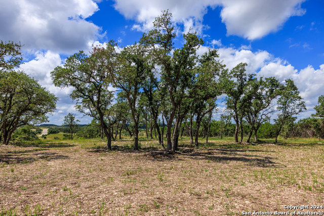 Listing photo id 20 for Tbd-100 Mt Gainor Rd