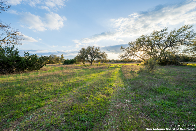 Listing photo id 2 for Tbd-100 Mt Gainor Rd