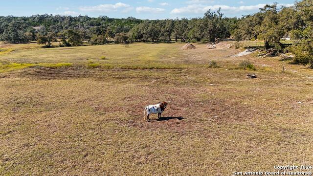 Image 45 of 50 For 303 Doehne Oaks