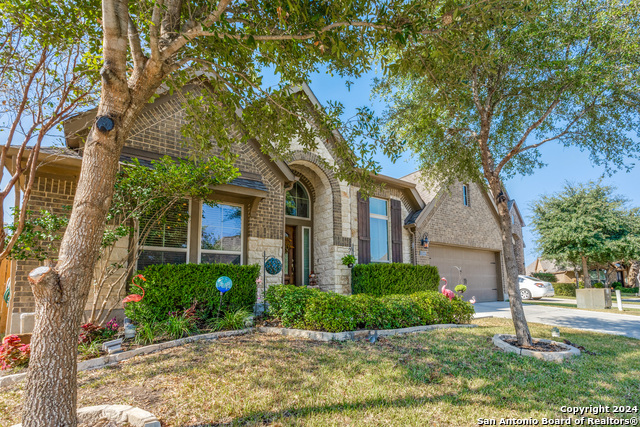 Details for 3066 Mustang Mdw, Seguin, TX 78155