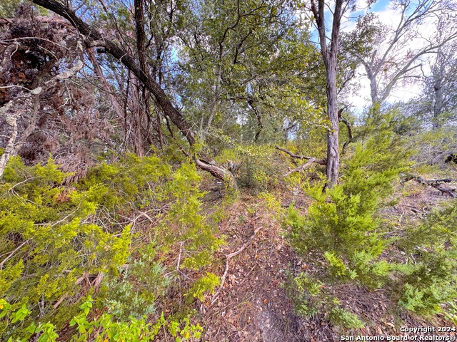 Listing photo id 2 for 762 & 758 Firefly Dr