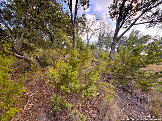 Listing photo id 3 for 762 & 758 Firefly Dr