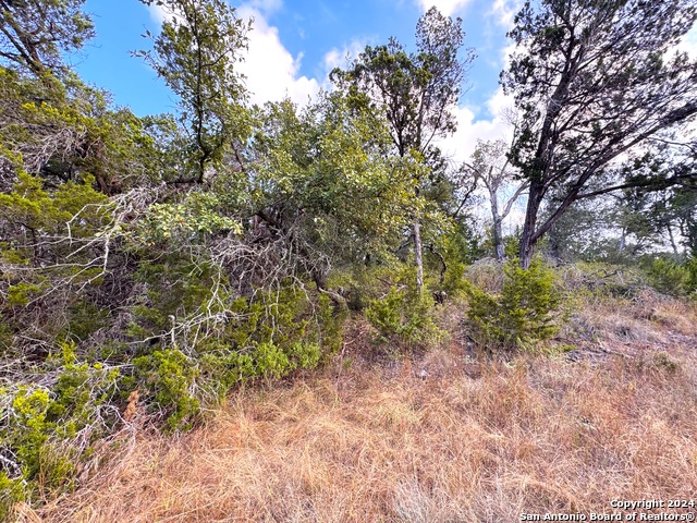 Listing photo id 5 for 762 & 758 Firefly Dr