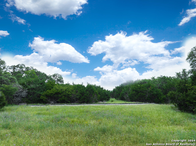 Image 4 of 12 For 1293 Adyson Ridge