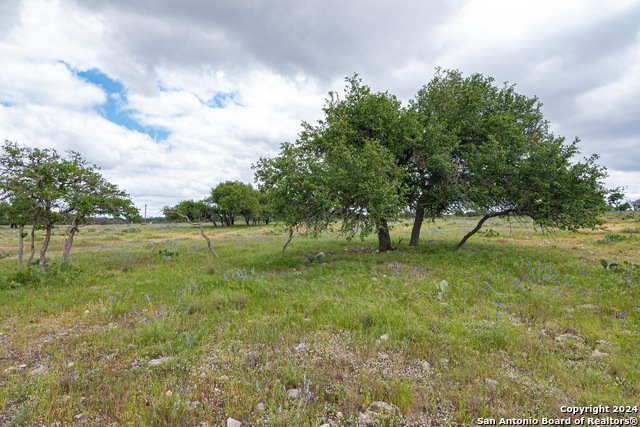 Details for 1976 Fm 479  , Harper, TX 78631