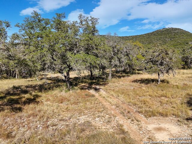 Image 4 of 30 For 207 Roadrunner Trail