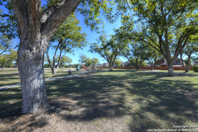 Image 34 of 34 For 511 Pecan Forest