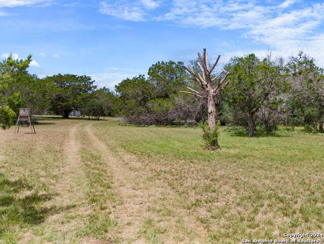 Image 8 of 35 For Lot 95 South Fork