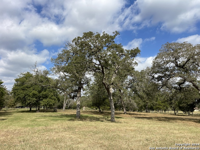 Details for 9300 Old Colony Line, Dale, TX 78616