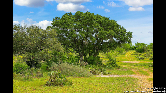 Image 27 of 28 For 9277 State Highway 29 W