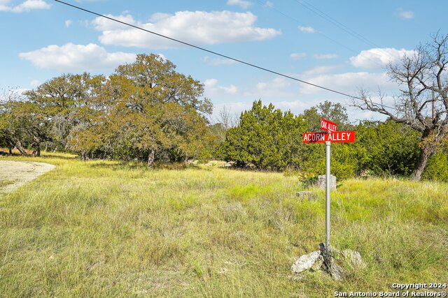 Image 15 of 15 For Lot 203 Acorn Alley