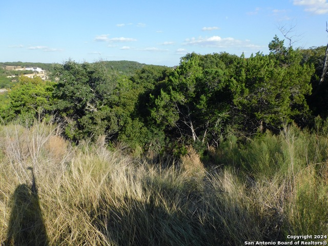 Image 4 of 17 For Tbd Ravine Pass