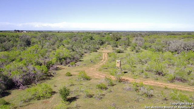 Details for 0 Old Pearsall Rd, Jourdanton, TX 78026