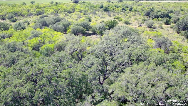 Image 8 of 13 For 0 Old Pearsall Rd