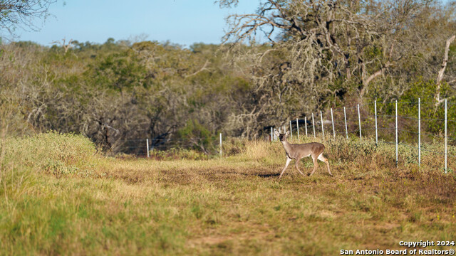 Image 5 of 25 For 000 Appling Rd - Ih 10