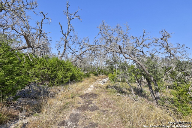 Listing photo id 14 for 147 Crooked Creek Path