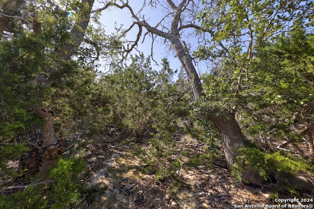 Listing photo id 15 for 147 Crooked Creek Path