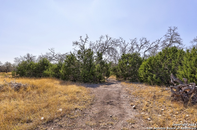 Listing photo id 16 for 147 Crooked Creek Path