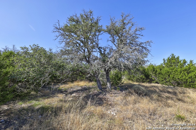 Listing photo id 18 for 147 Crooked Creek Path