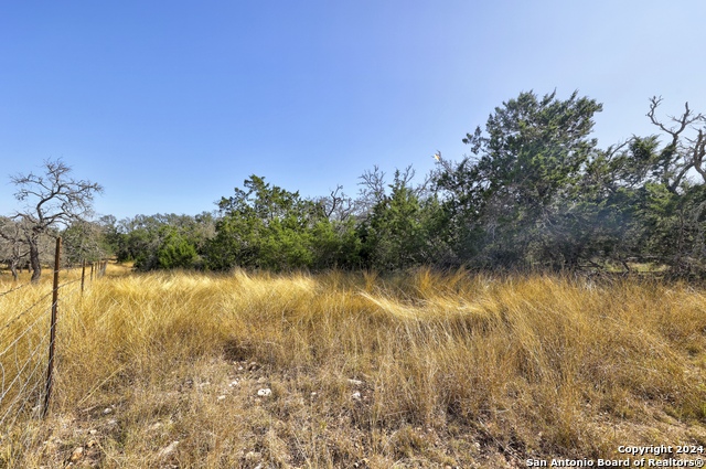 Listing photo id 20 for 147 Crooked Creek Path