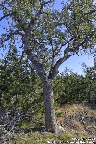 Listing photo id 22 for 147 Crooked Creek Path