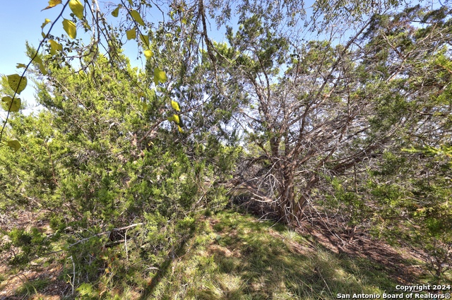 Listing photo id 23 for 147 Crooked Creek Path