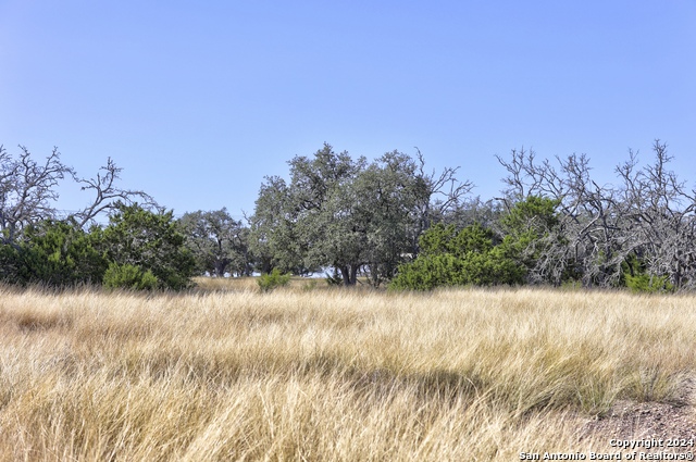 Listing photo id 26 for 147 Crooked Creek Path