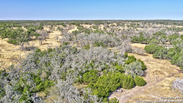 Listing photo id 32 for 147 Crooked Creek Path
