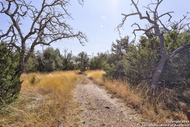 Listing photo id 33 for 147 Crooked Creek Path