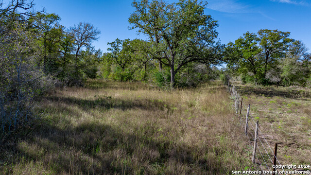 Image 11 of 23 For 000 Old Seguin Luling Rd