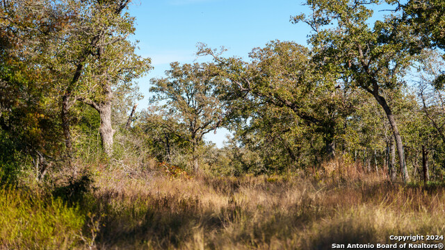 Image 15 of 23 For 000 Old Seguin Luling Rd