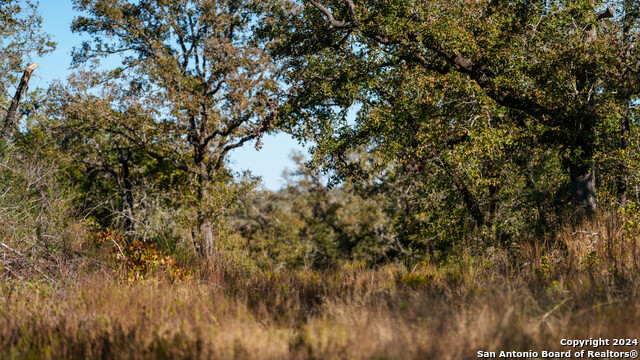 Image 16 of 23 For 000 Old Seguin Luling Rd