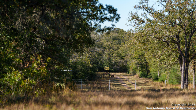 Image 17 of 23 For 000 Old Seguin Luling Rd