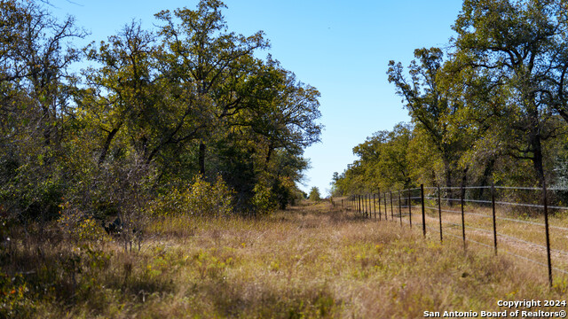 Image 20 of 23 For 000 Old Seguin Luling Rd