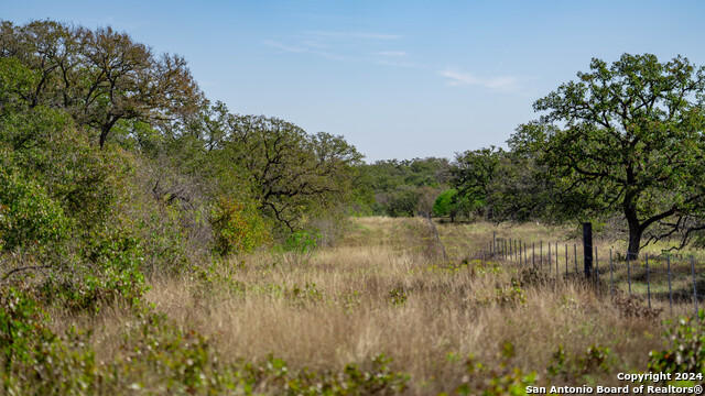 Image 21 of 23 For 000 Old Seguin Luling Rd