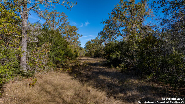 Image 23 of 23 For 000 Old Seguin Luling Rd