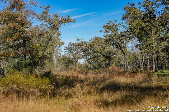 Image 6 of 23 For 000 Old Seguin Luling Rd