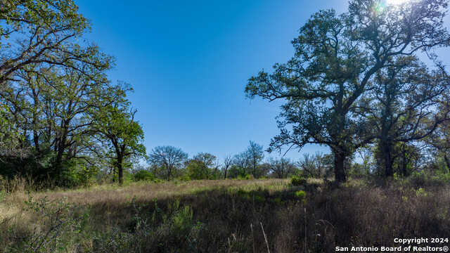 Image 7 of 23 For 000 Old Seguin Luling Rd