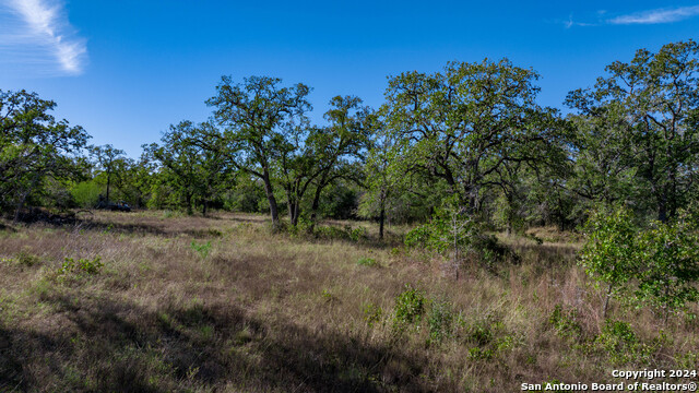 Image 8 of 23 For 000 Old Seguin Luling Rd