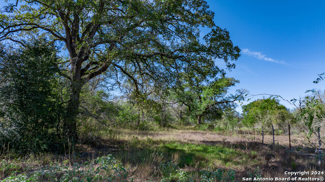 Image 9 of 23 For 000 Old Seguin Luling Rd