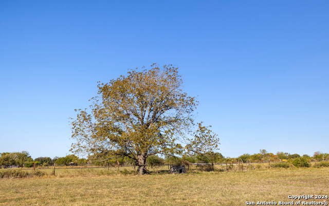 Image 16 of 48 For 458 County Road 664